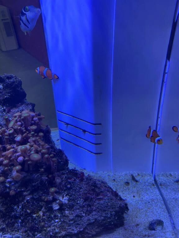 23時〜1枠&#129392;