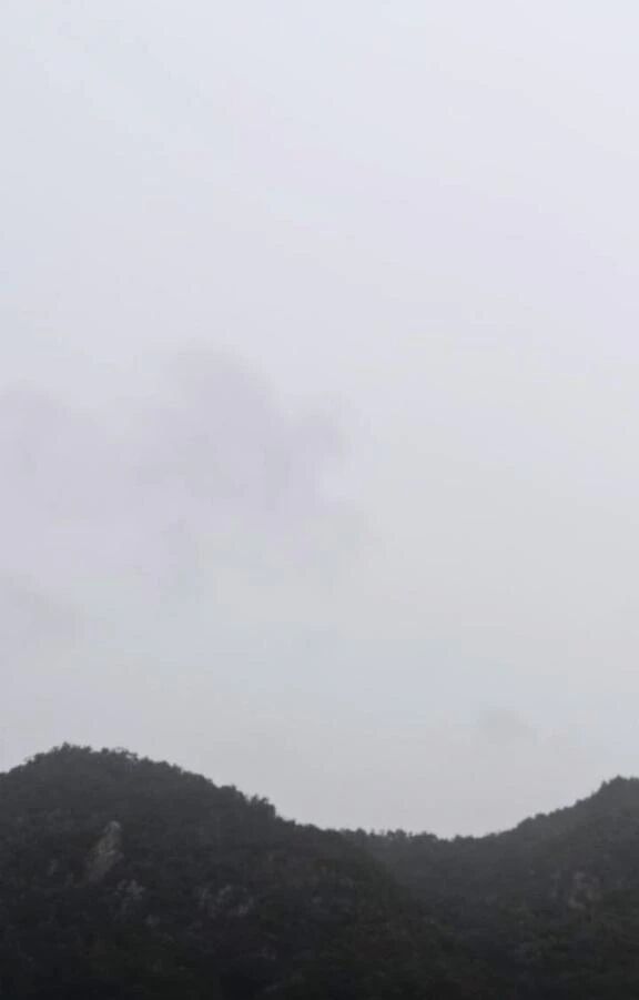 李こんにちは李