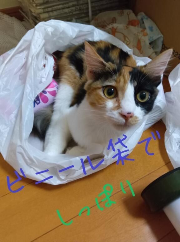 イメージ