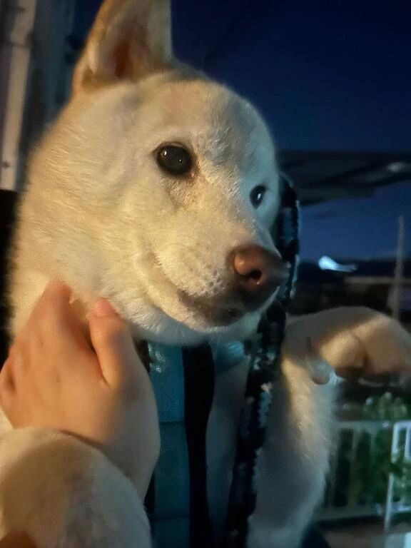 今日もありがとう！