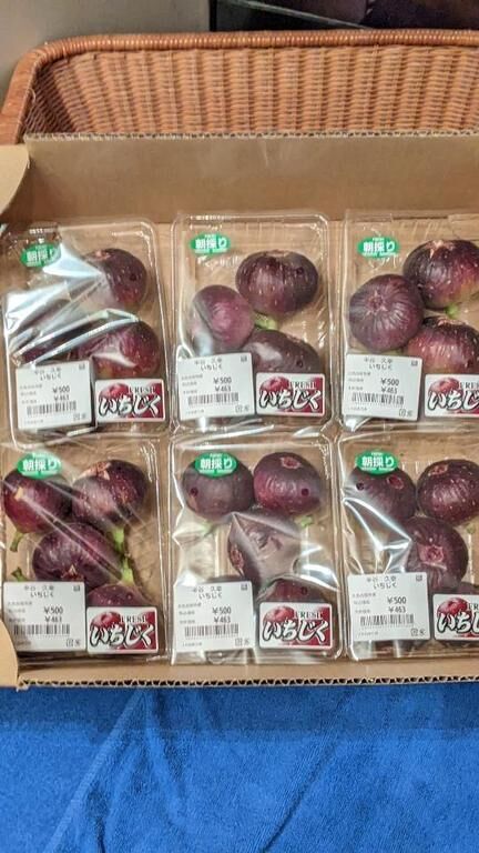 うまうま