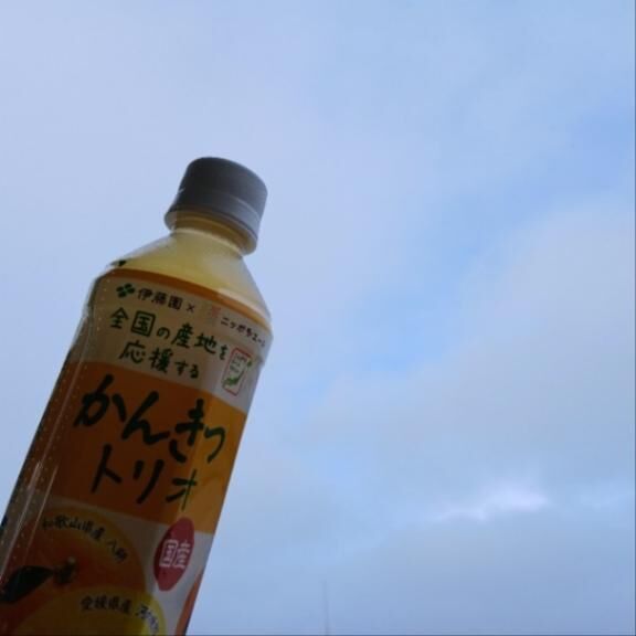 ＊おはようございます＊