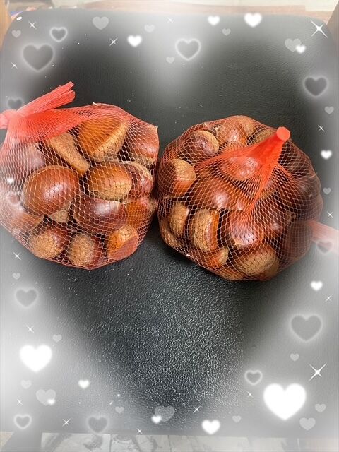 昨日のお礼日記