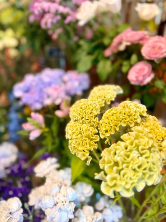 追加があります♡♡♡