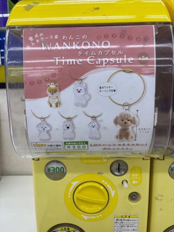 毛入れ&#127926;