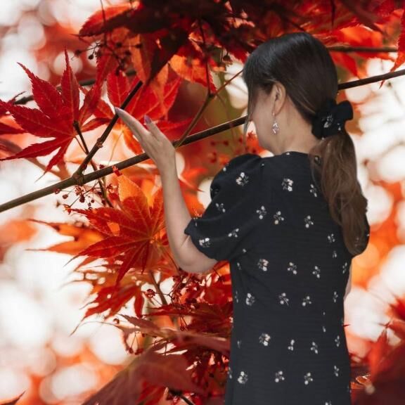 おやすみなさい！