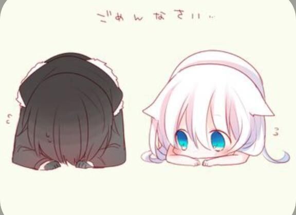 ごめんなさいm(_ _)m