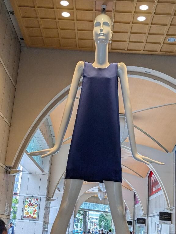 おはようございます(^O^)