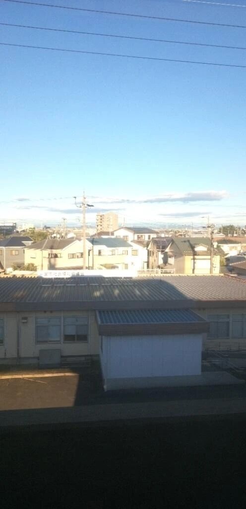 いい陽気です