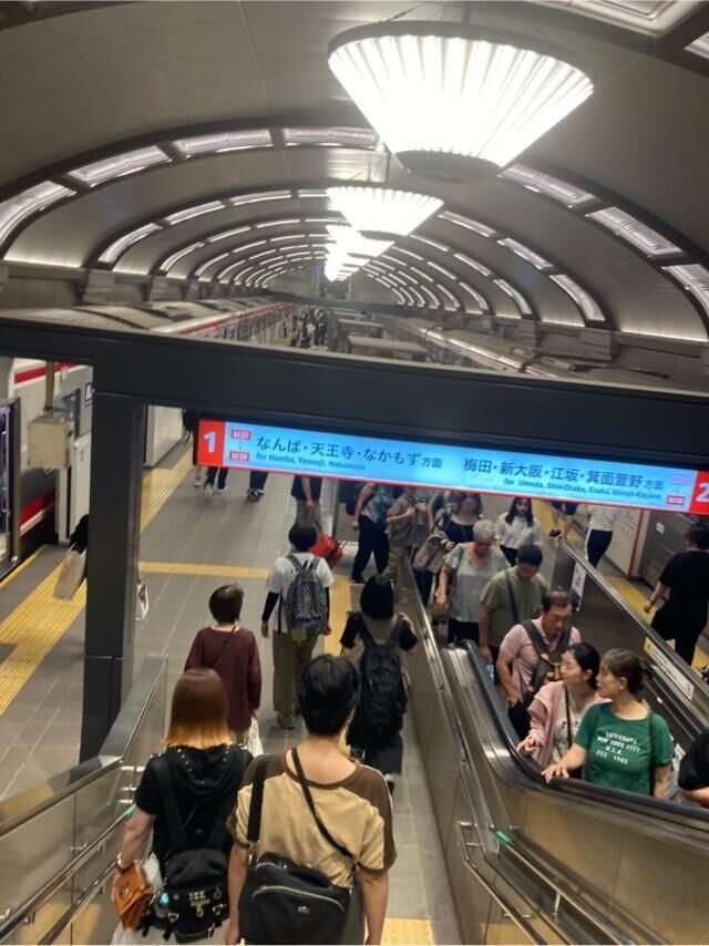 ハリーポッター？