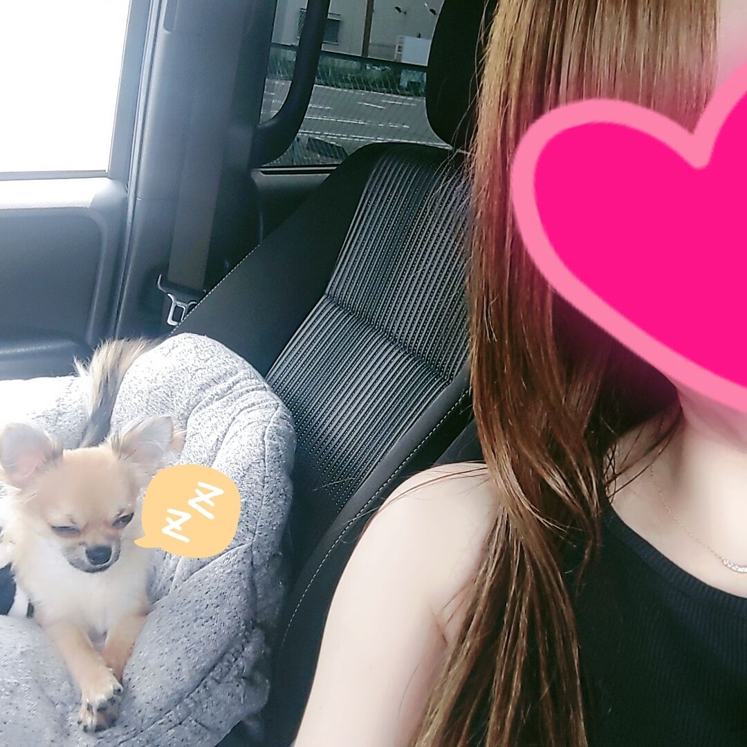 お休みします&#128591;