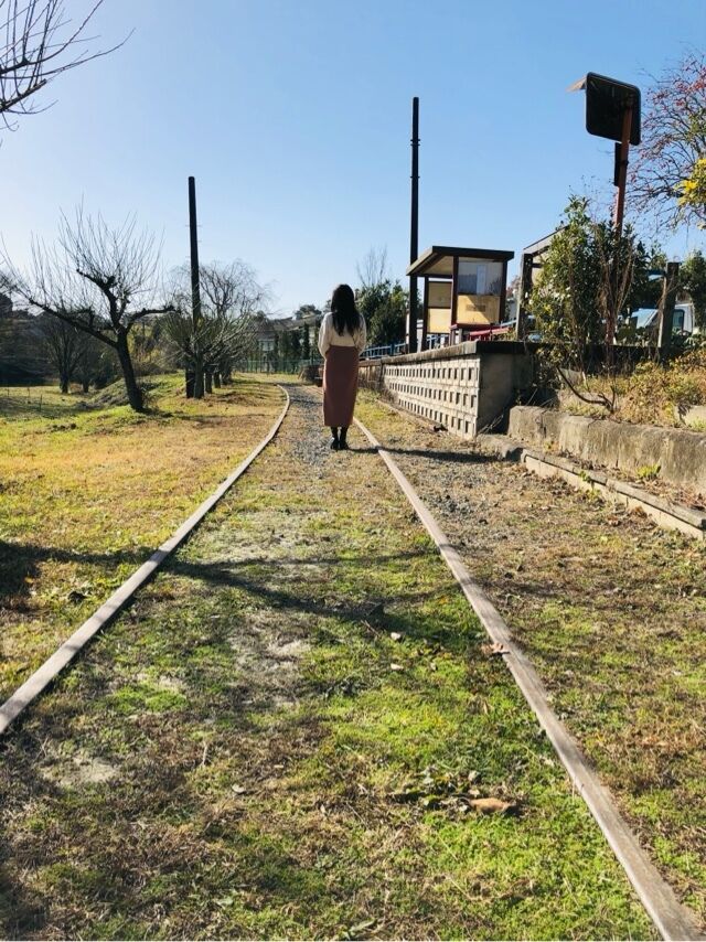 ほたるの人妻川柳日記(鉄道の日)