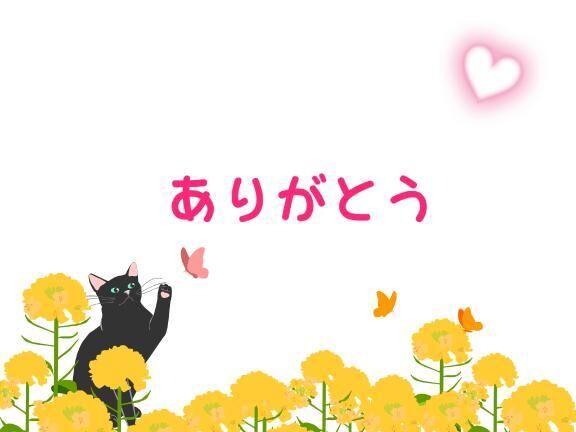 今日のお礼と明日♪