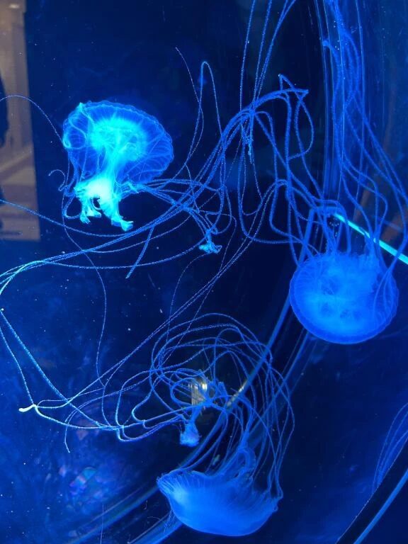 枠もう残りわずか…❣️