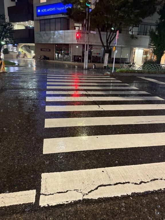 雨でびしょ濡れ&#128531;