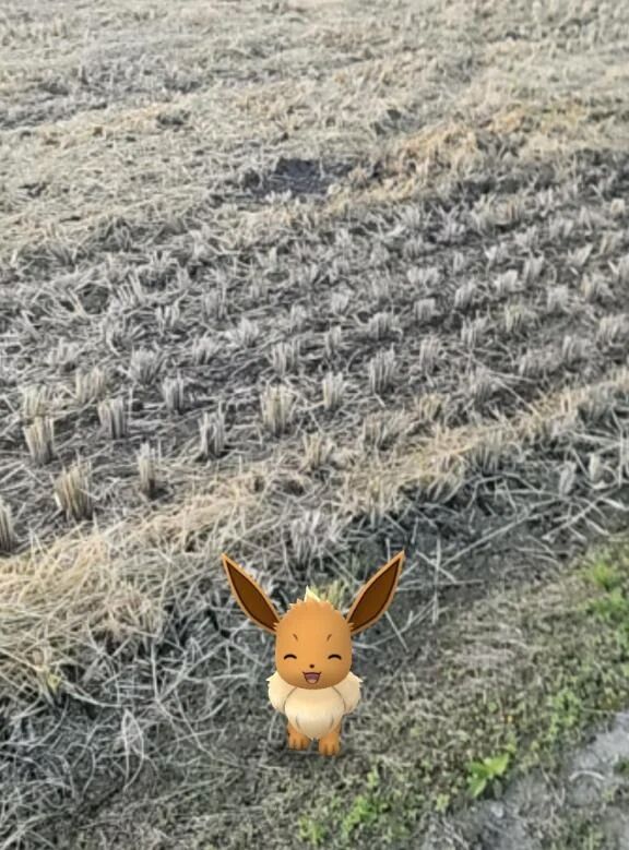 本日も宜しくお願いします♪