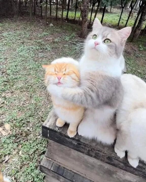 おはようまる&#128156;