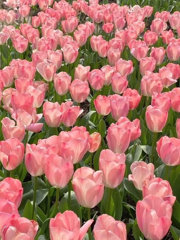 &#128144;