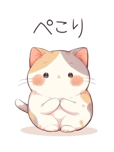 お久しぶりです！