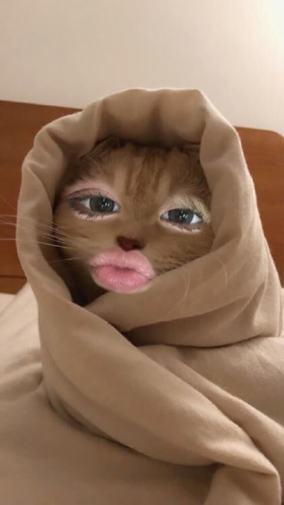 今日も&#128578;&zwj;&#8597;&#65039;
