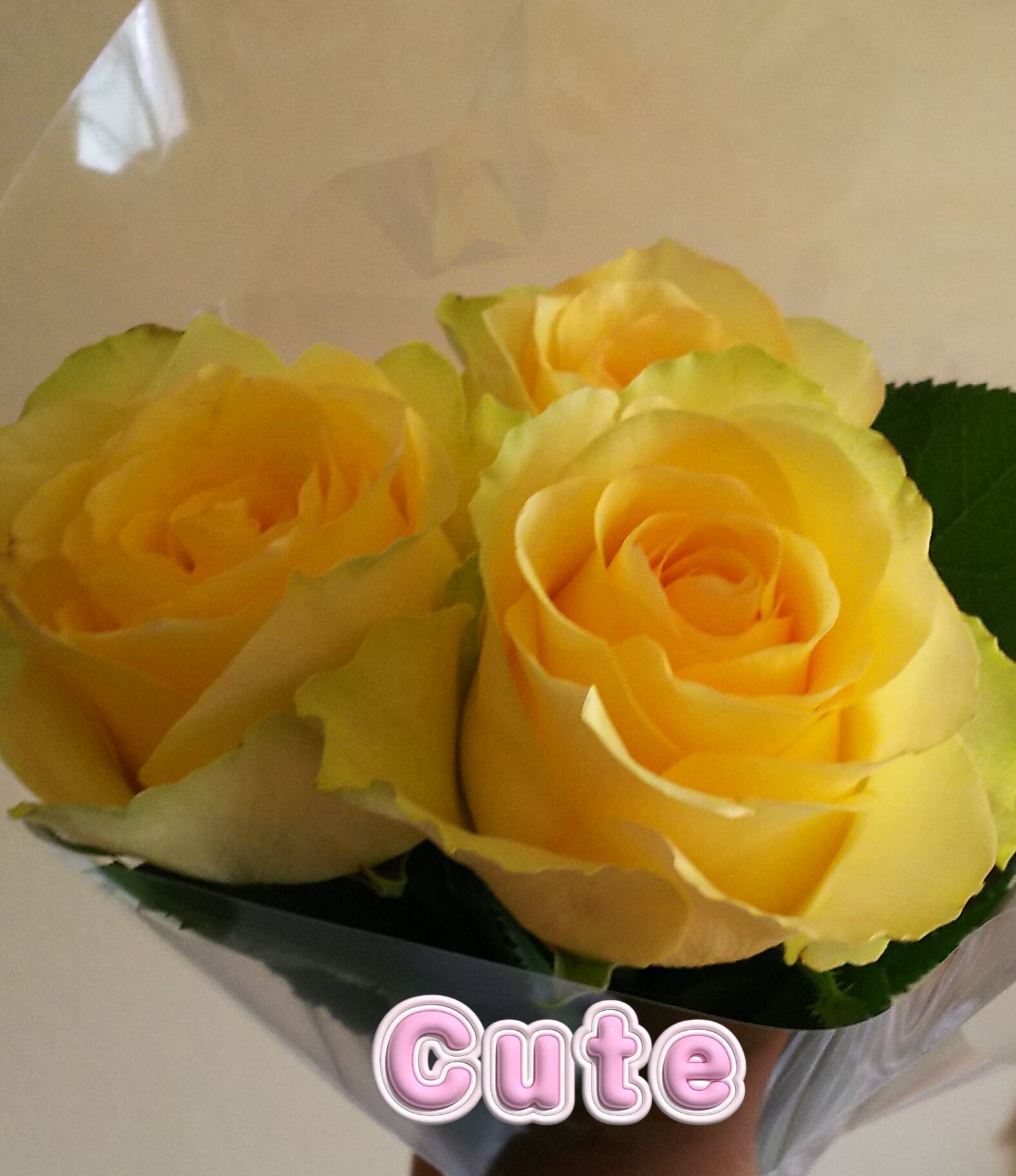 お疲れ様でした