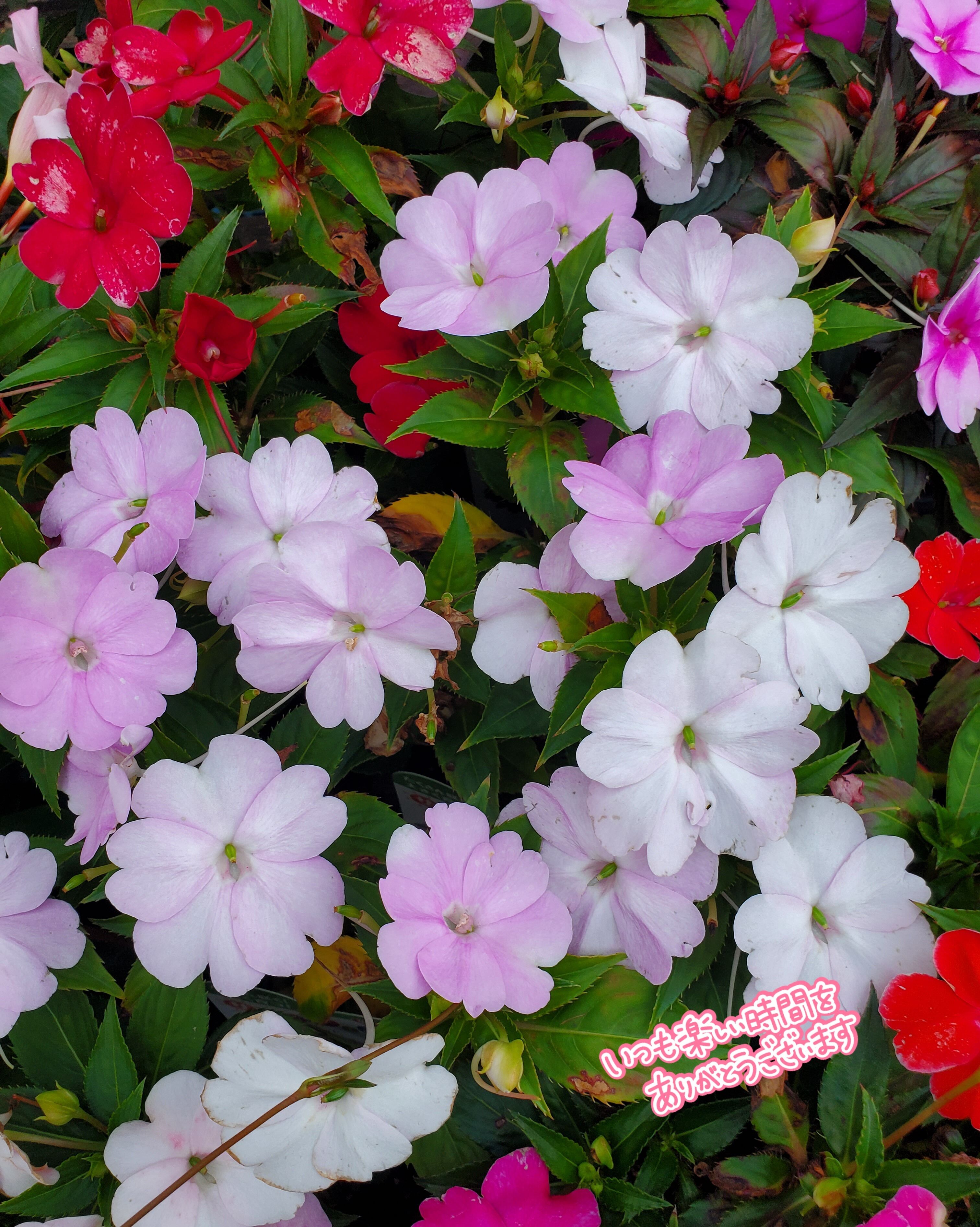 おはようございます&#9825;