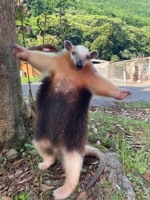 こんにちは&#10024;