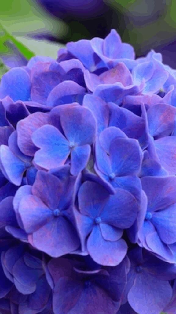 ☆ありがとう☆