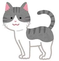 あ、そういえば…