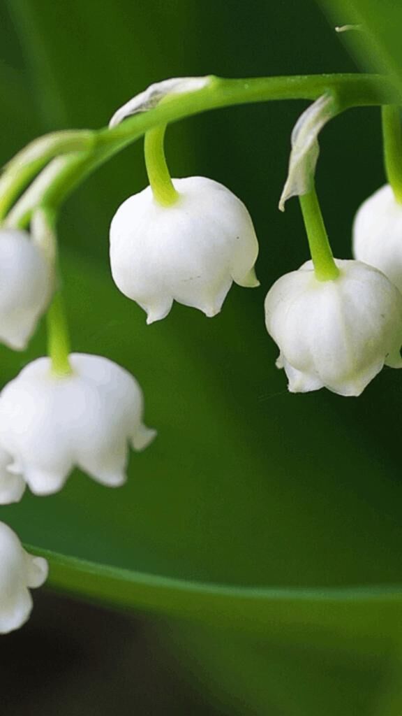 ☆こんばんは☆