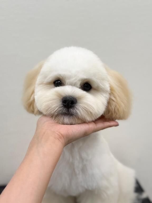 可愛すぎ&#9825;&#9825;