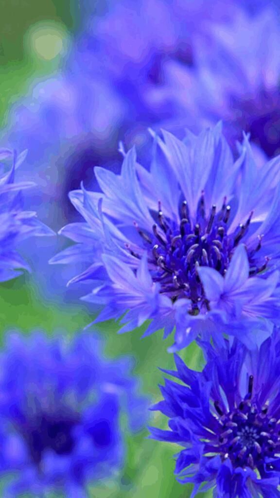 ☆ありがとう☆