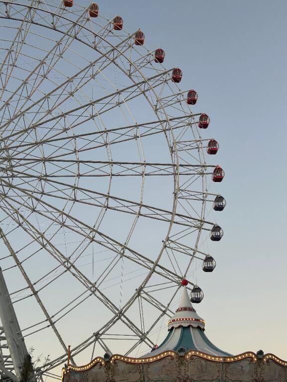 今日も今日とて感謝です&#129653;