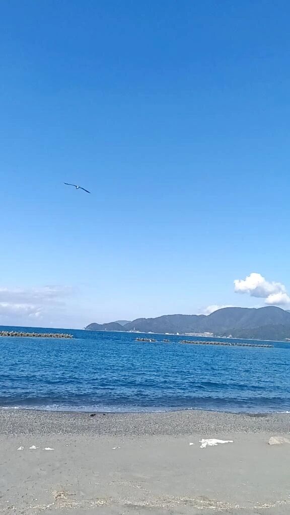 ありがとうございました♪