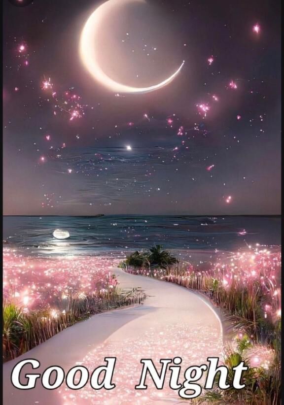 good night…♡♡♡.°