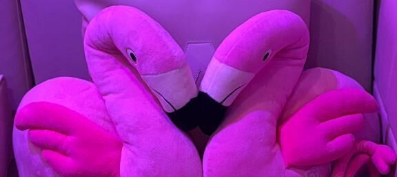 おはようございます