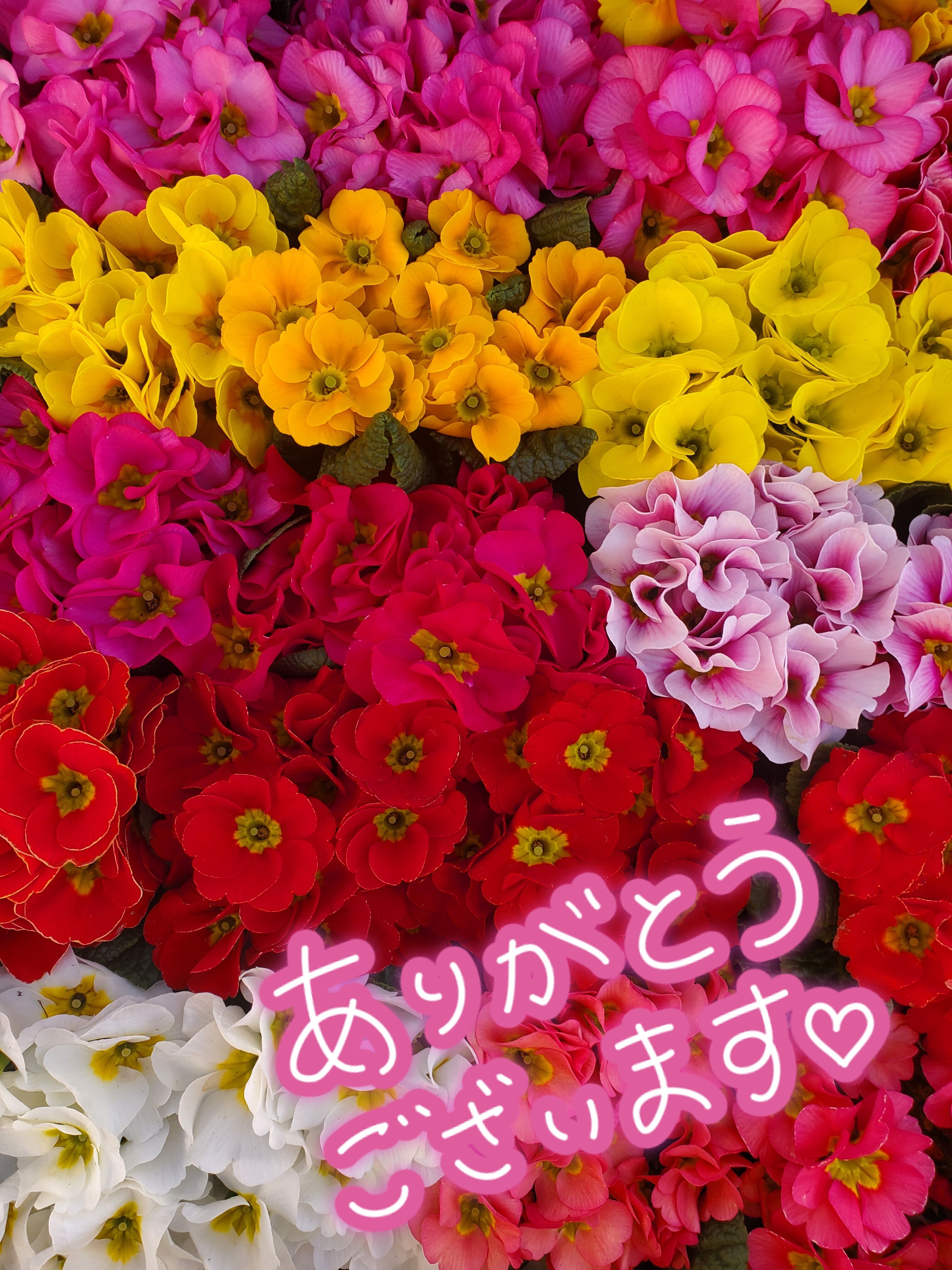 おはようございます&#9825;