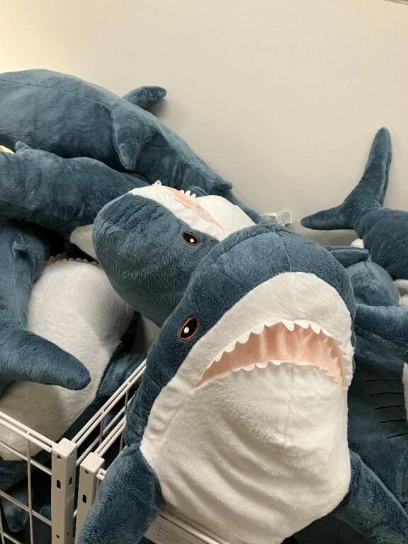 10月後半もよろしくお願いします&#129416;&#128150;