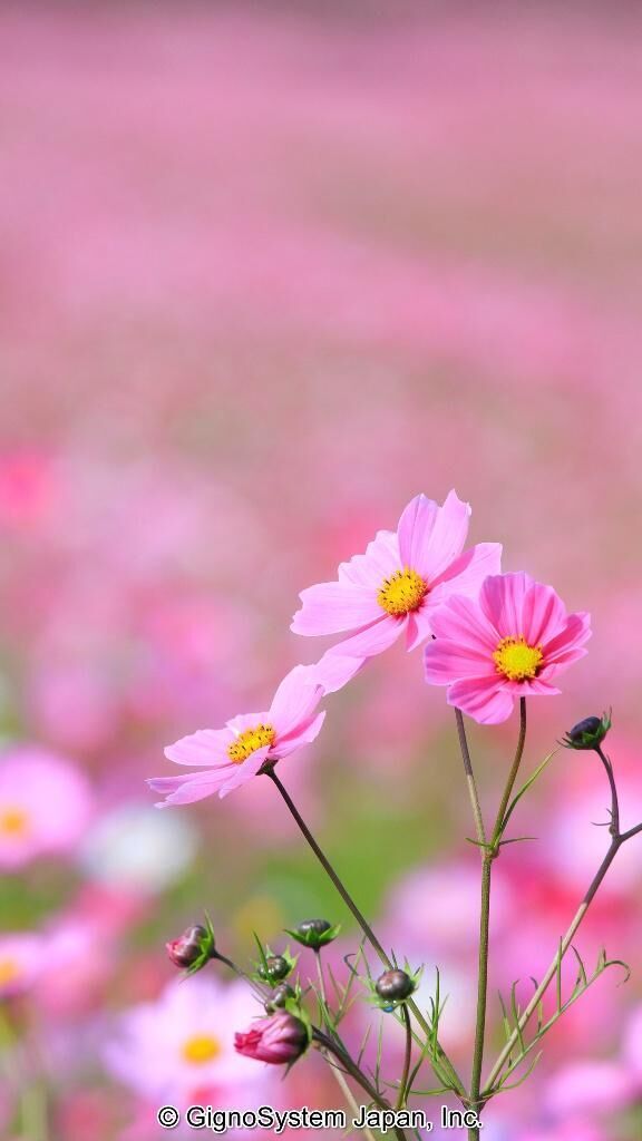 こんにちは&#9825;