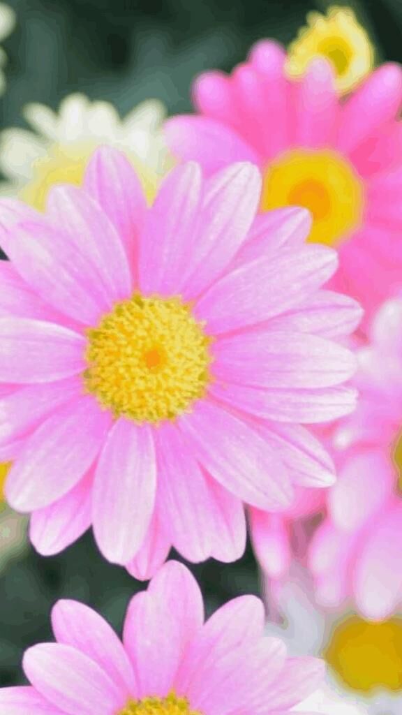 ☆こんにちは☆