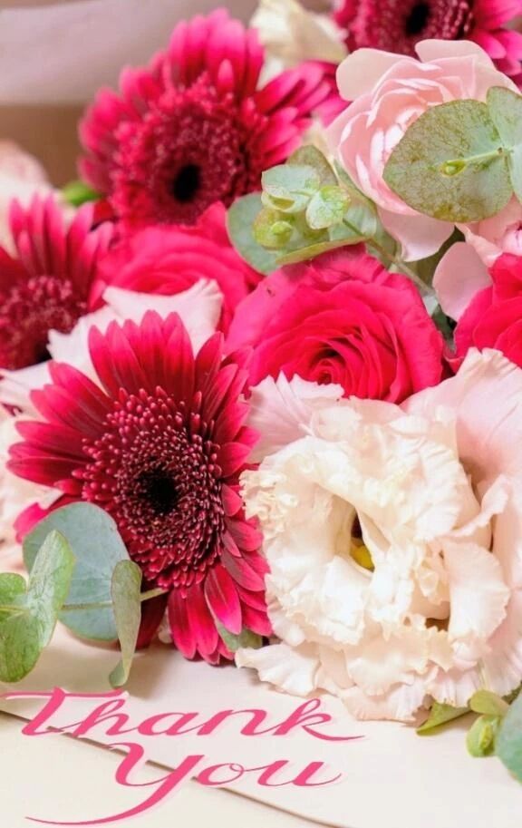 ✨5日みたよ♪の女の子会員の皆様✨