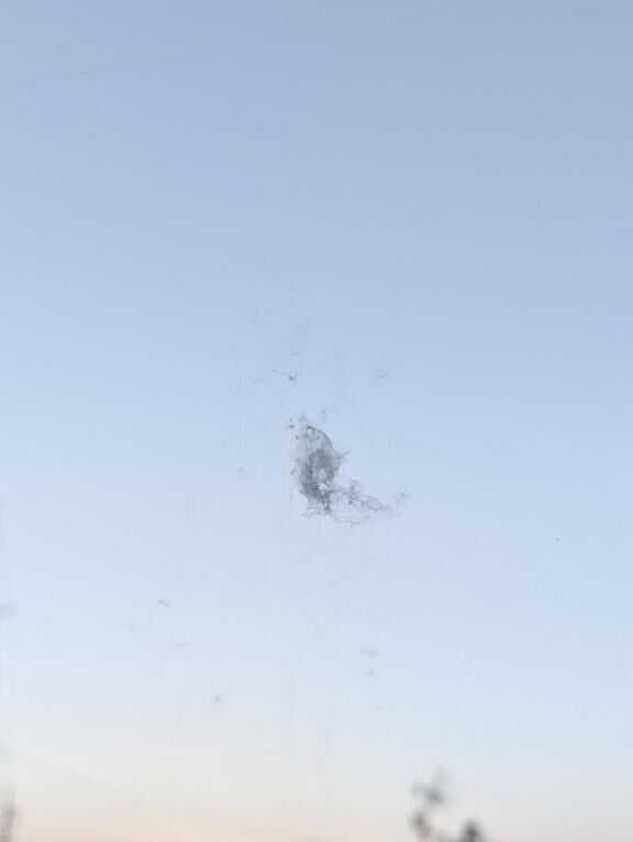 今日も1日お疲れ様ですε-(`・ω・´)