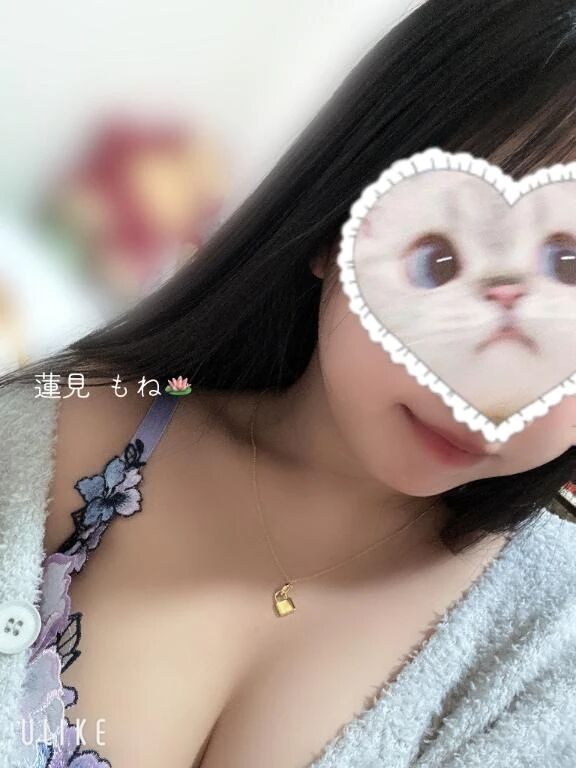後半の予定&#127875;&#127852;