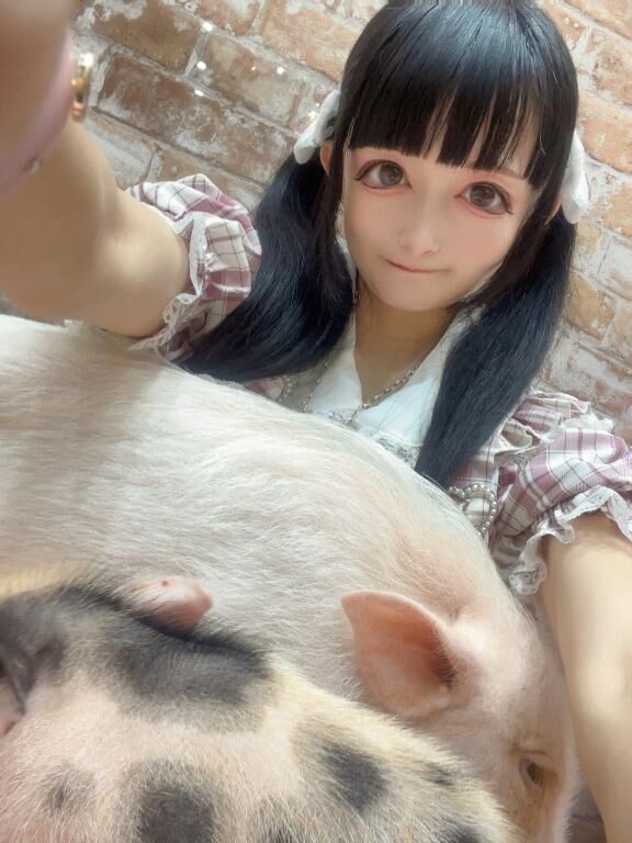 ♡明日はにゃんこ♡