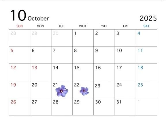 &#127800;&#128467;&#65039;１０月出勤のお知らせです&#128467;&#65039;&#127800;