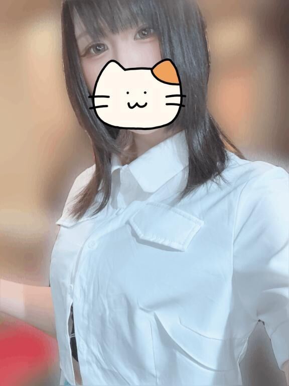 ネコネコサンのヒ