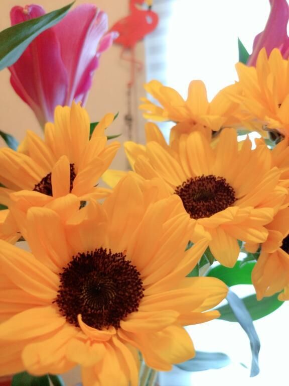 &#9825;&#9825;&#9825;