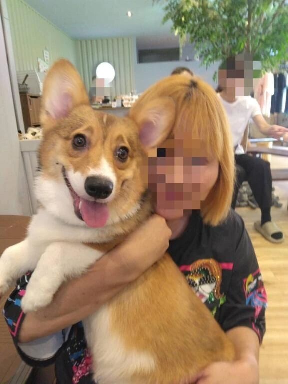 待機してます(*⌒▽⌒*)