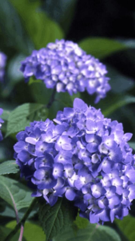 ☆ありがとう☆