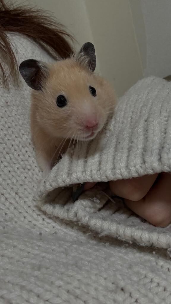 出勤!&#9825;